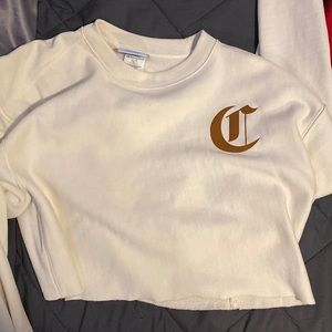 champion hoodie, size M, cream color, brand new never worn.